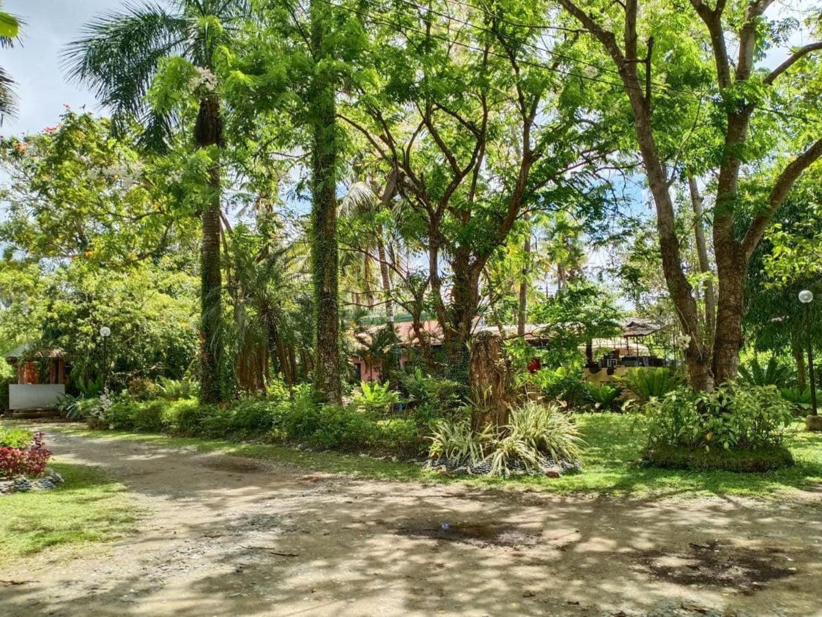 Reddoorz Plus @ Costa Roca Balamban Cebu ภายนอก รูปภาพ